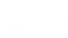 Carrol Boyes Online Shopping | South Africa